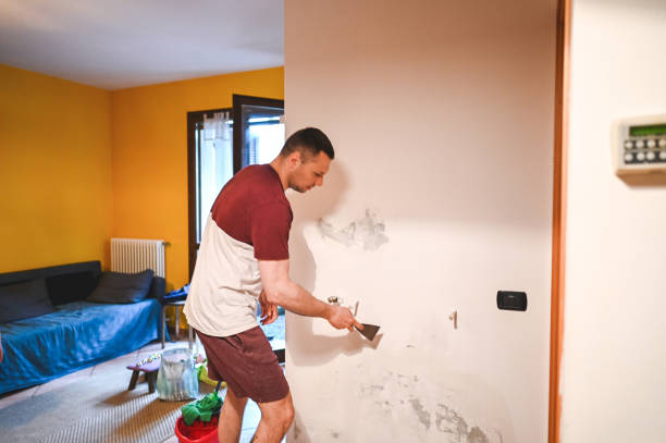 Best Mold Testing  in New Smyrna Beach, FL